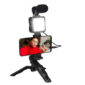 Vlogger with microphone and LED lamp on camera tripod.