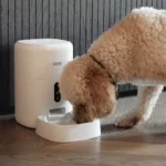 Smart Petfeeder Met Camera - Voederautomaat voor kat & hond – Image 3