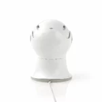 Wi-Fi smart IP camera voor buiten | Pan/Tilt/Zoom | Full HD 1080p - Afbeelding 4